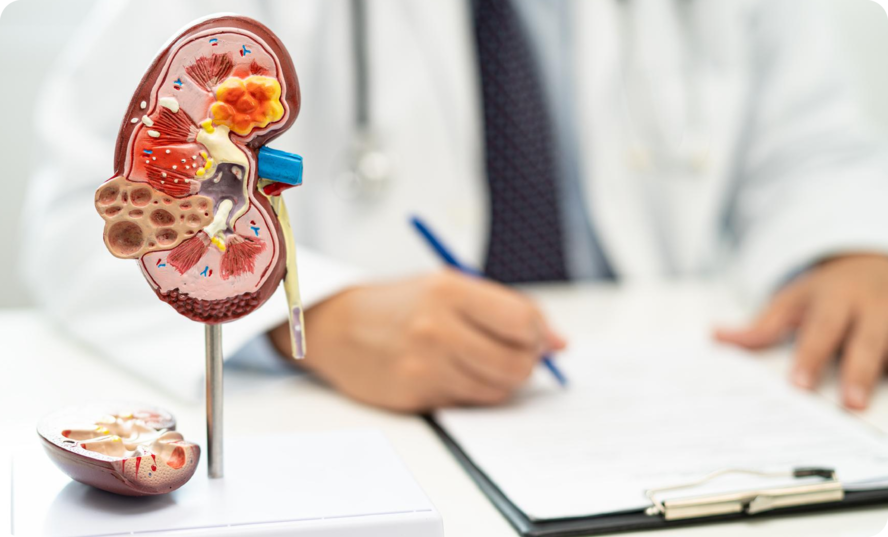 Our Patient-Centred Approach to Nephrology Care