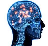 Comprehensive Neurological and Spine Health Services